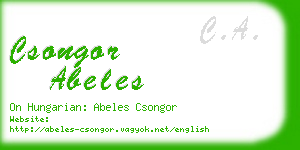 csongor abeles business card
